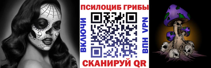Псилоцибиновые грибы Cubensis  Петровск 